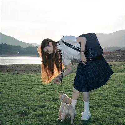 凤女龙驹